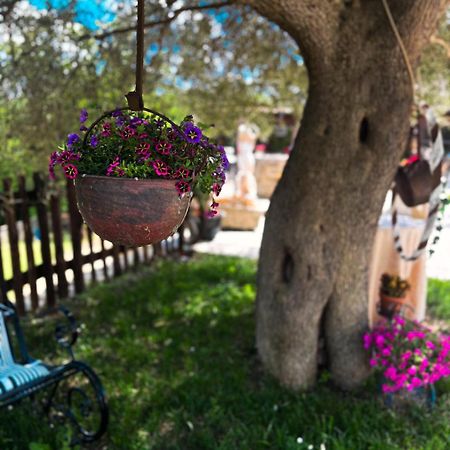 Agriturismo Le Faeta Arpino Eksteriør bilde