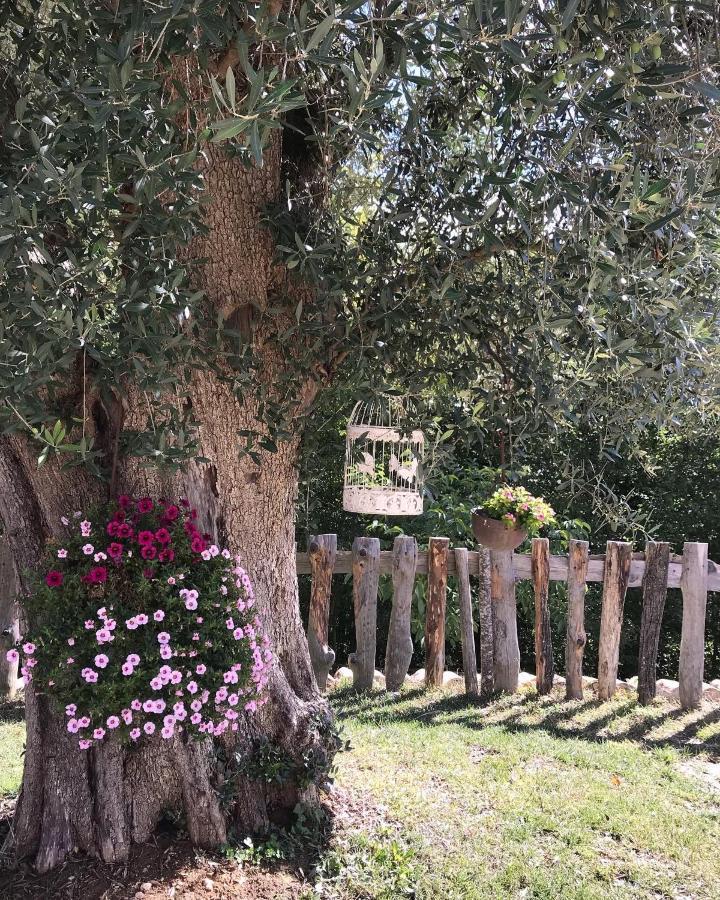 Agriturismo Le Faeta Arpino Eksteriør bilde