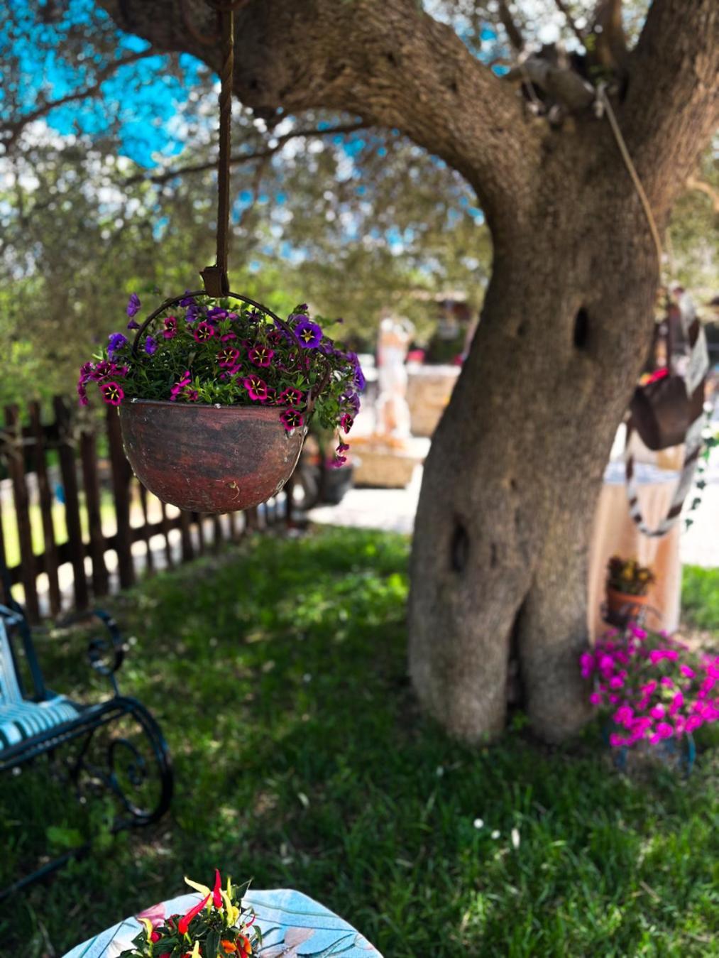 Agriturismo Le Faeta Arpino Eksteriør bilde