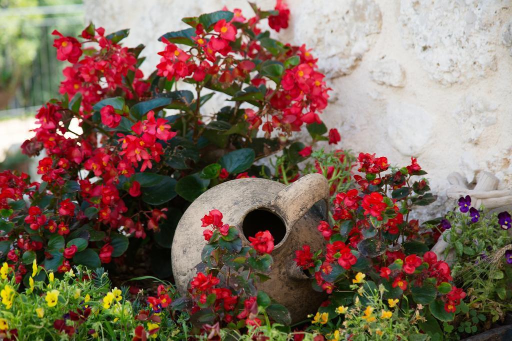 Agriturismo Le Faeta Arpino Eksteriør bilde