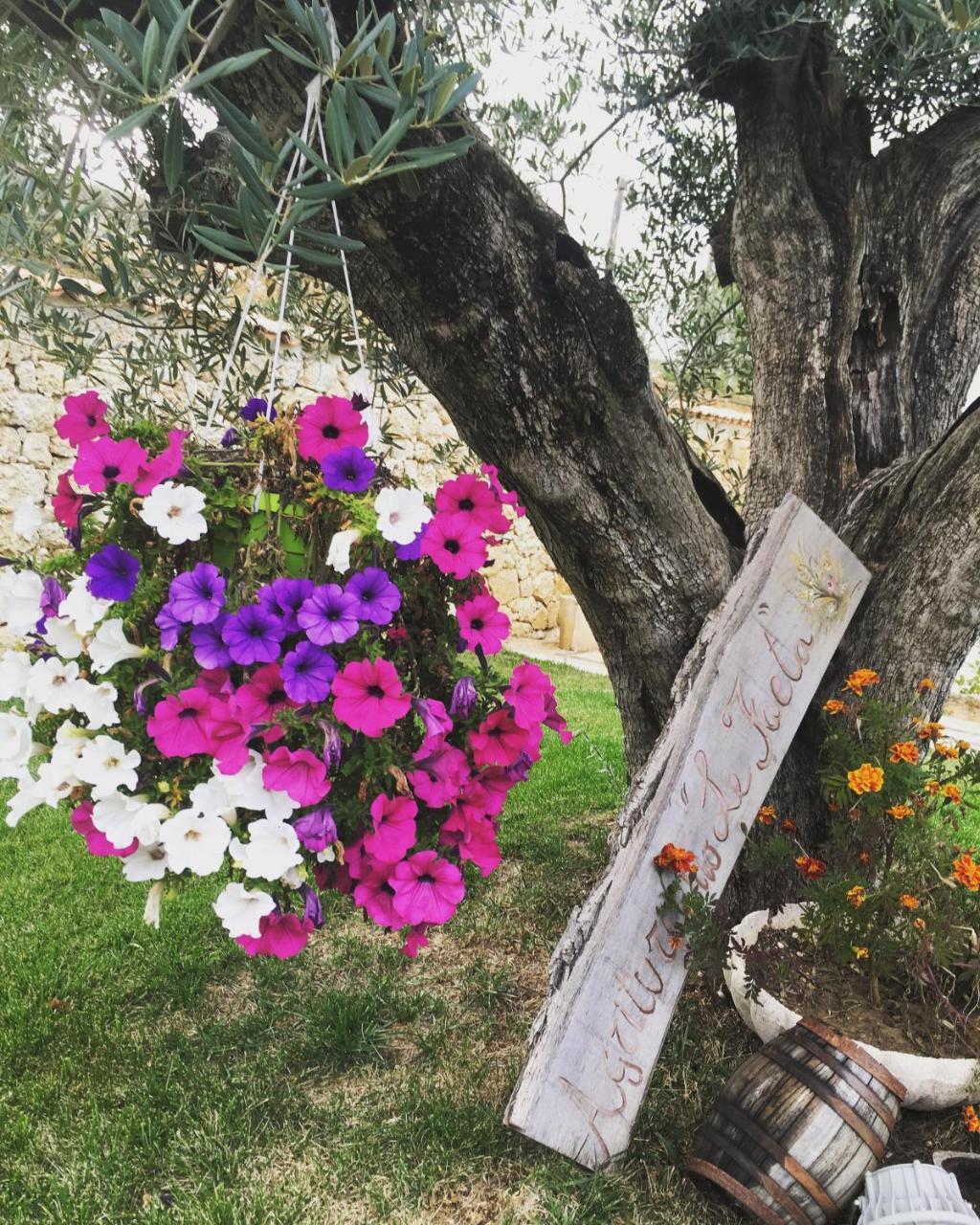Agriturismo Le Faeta Arpino Eksteriør bilde
